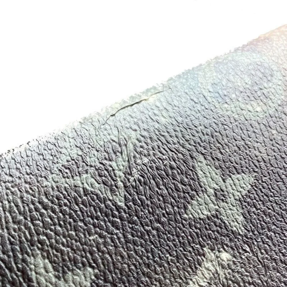 Louis Vuitton Portefeuille Brazza Long Wallet